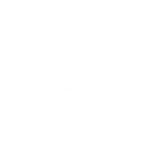 Kaminsanierung Icon